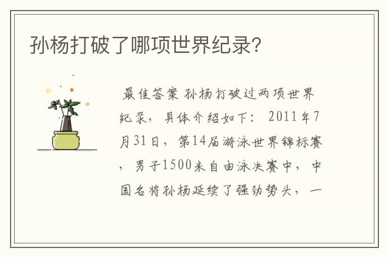 孙杨打破了哪项世界纪录?