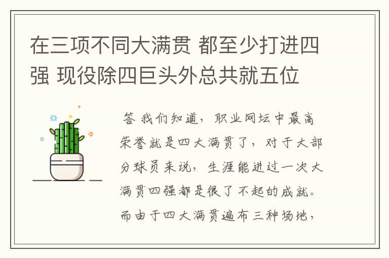 在三项不同大满贯 都至少打进四强 现役除四巨头外总共就五位