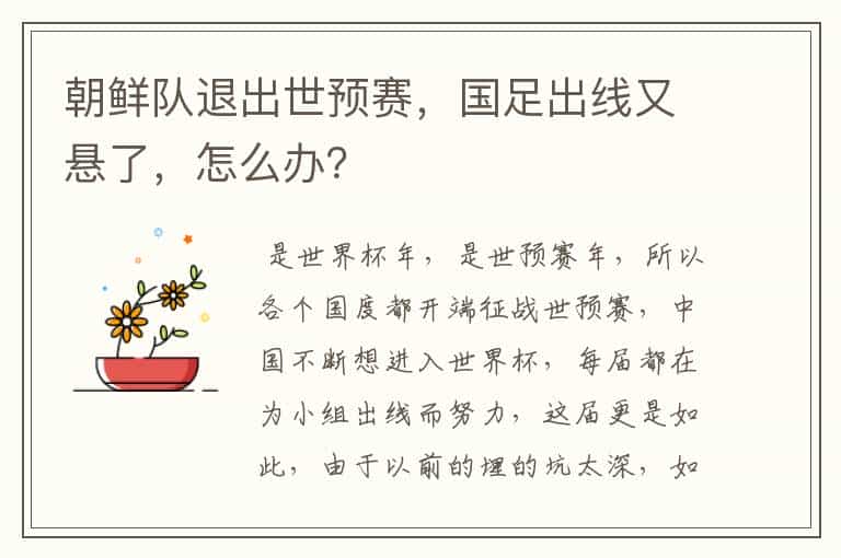朝鲜队退出世预赛,国足出线又悬了,怎么办?