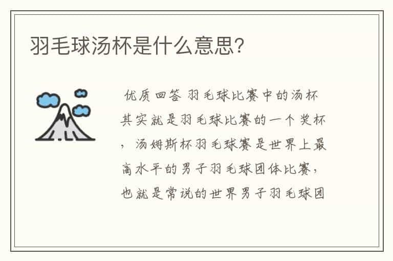 羽毛球汤杯是什么意思?