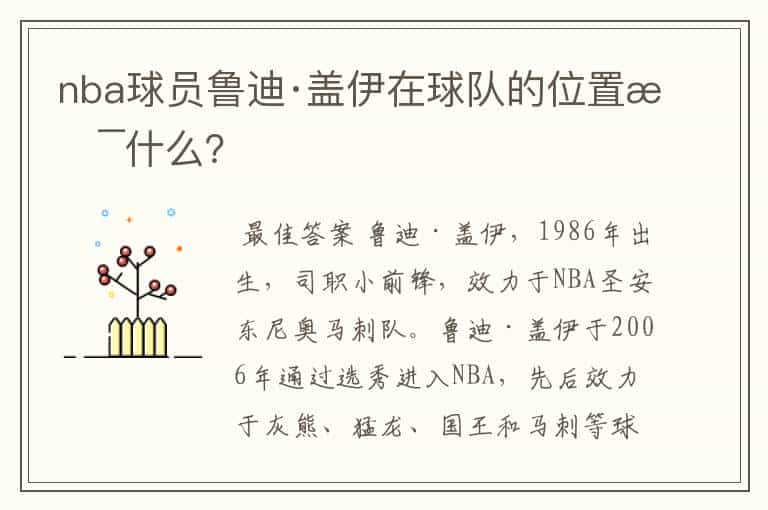 nba球员鲁迪·盖伊在球队的位置是什么?