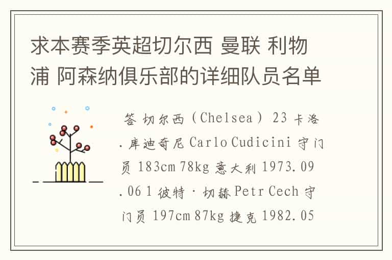求本赛季英超切尔西 曼联 利物浦 阿森纳俱乐部的详细队员名单?