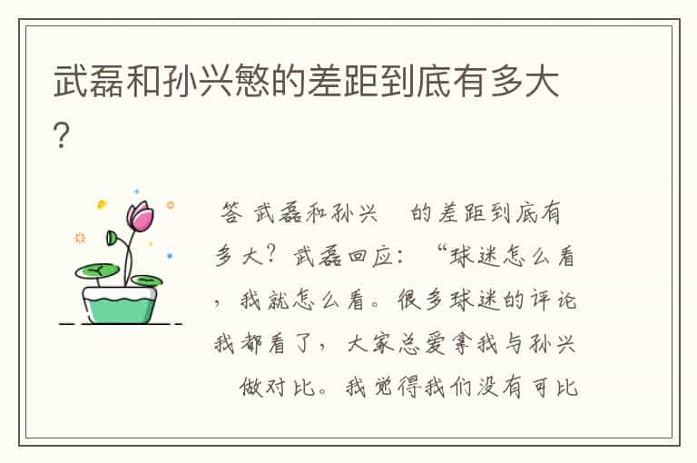 武磊和孙兴慜的差距到底有多大?