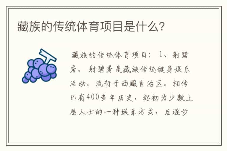 藏族的传统体育项目是什么?