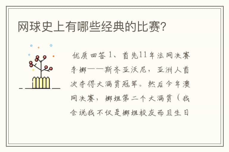 网球史上有哪些经典的比赛?