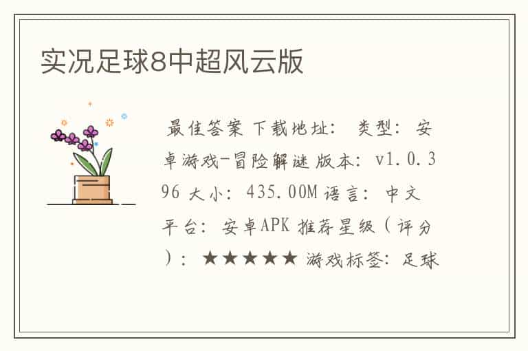 实况足球8中超风云版