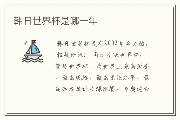 韩日世界杯是哪一年