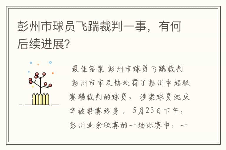 彭州市球员飞踹裁判一事,有何后续进展?