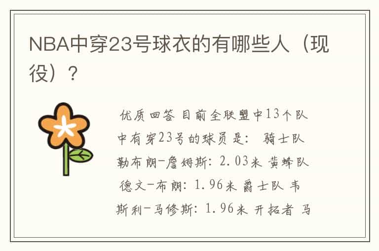 NBA中穿23号球衣的有哪些人(现役)?