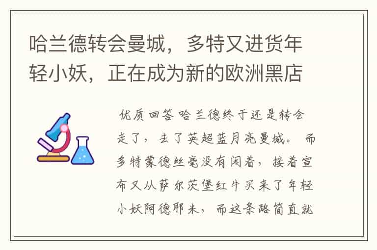 哈兰德转会曼城,多特又进货年轻小妖,正在成为新的欧洲黑店