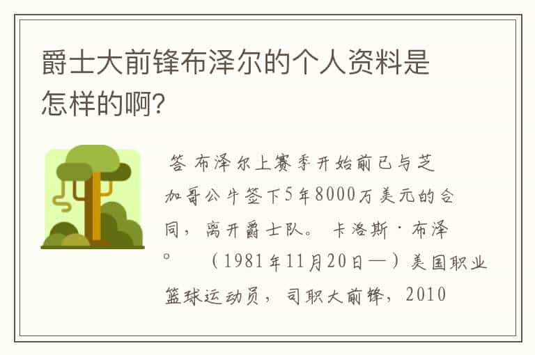 爵士大前锋布泽尔的个人资料是怎样的啊?