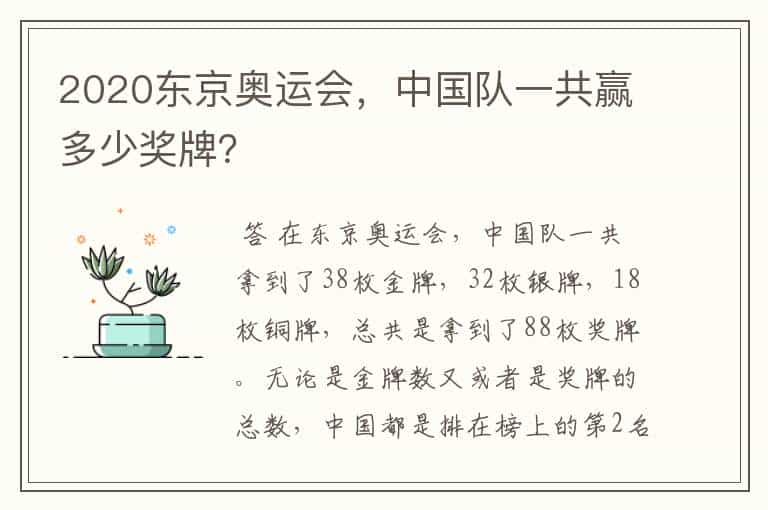 2020东京奥运会,中国队一共赢多少奖牌?