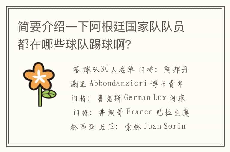 简要介绍一下阿根廷国家队队员都在哪些球队踢球啊?