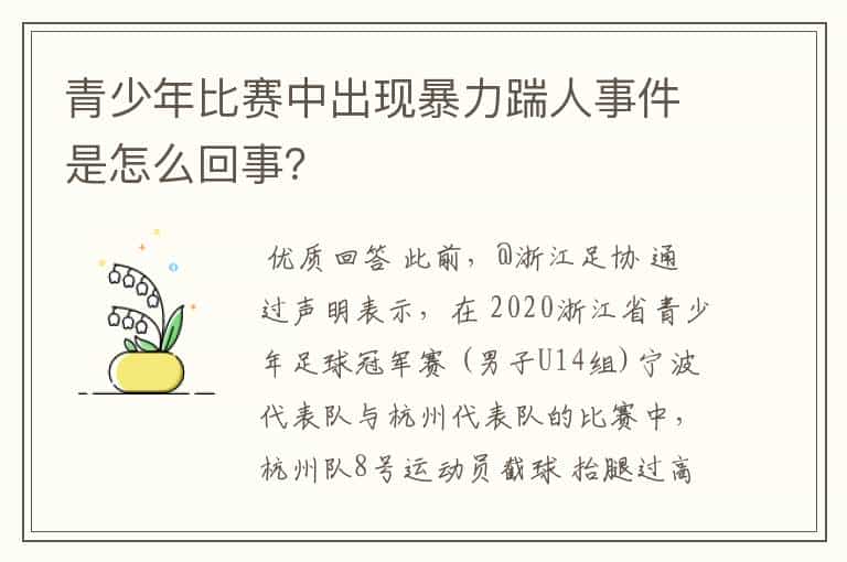 青少年比赛中出现暴力踹人事件是怎么回事?