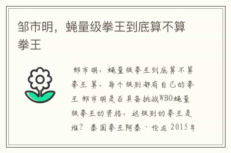 邹市明,蝇量级拳王到底算不算拳王