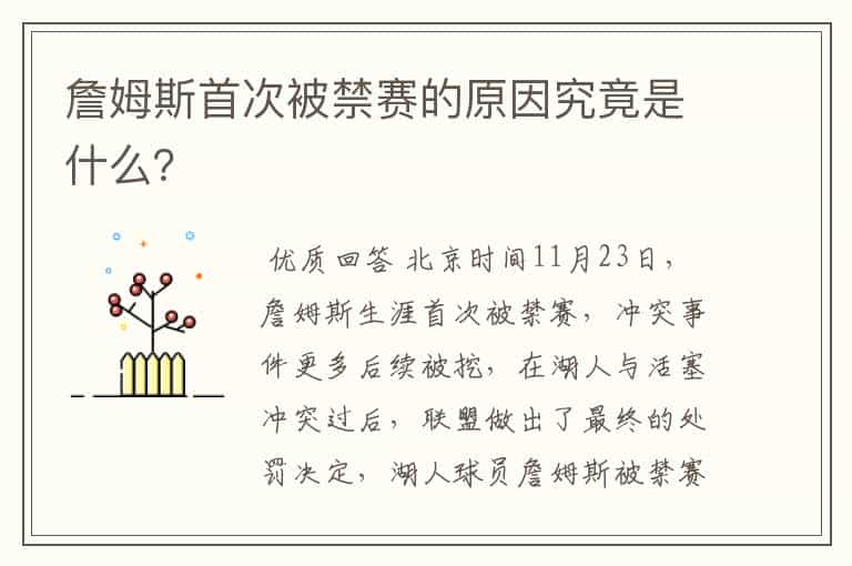 詹姆斯首次被禁赛的原因究竟是什么?