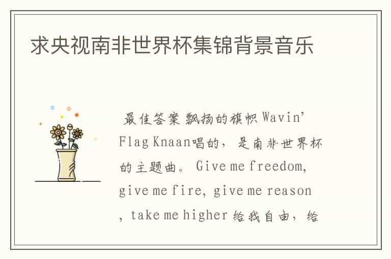 求央视南非世界杯集锦背景音乐