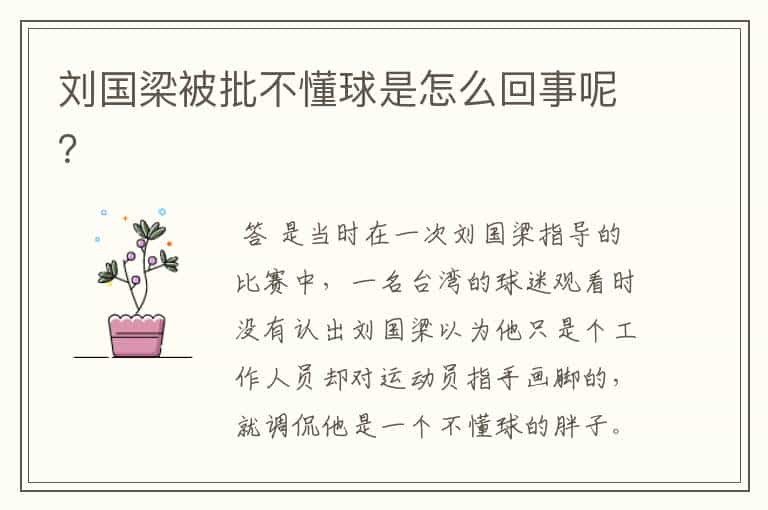 刘国梁被批不懂球是怎么回事呢?