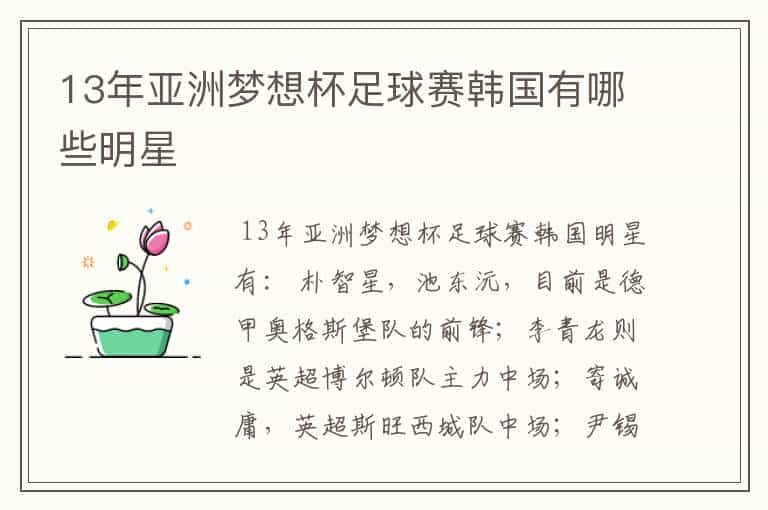 13年亚洲梦想杯足球赛韩国有哪些明星