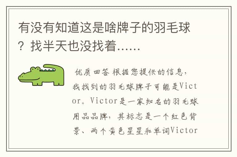 有没有知道这是啥牌子的羽毛球?找半天也没找着……