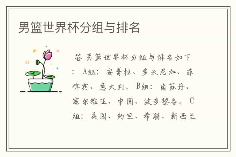男篮世界杯分组与排名