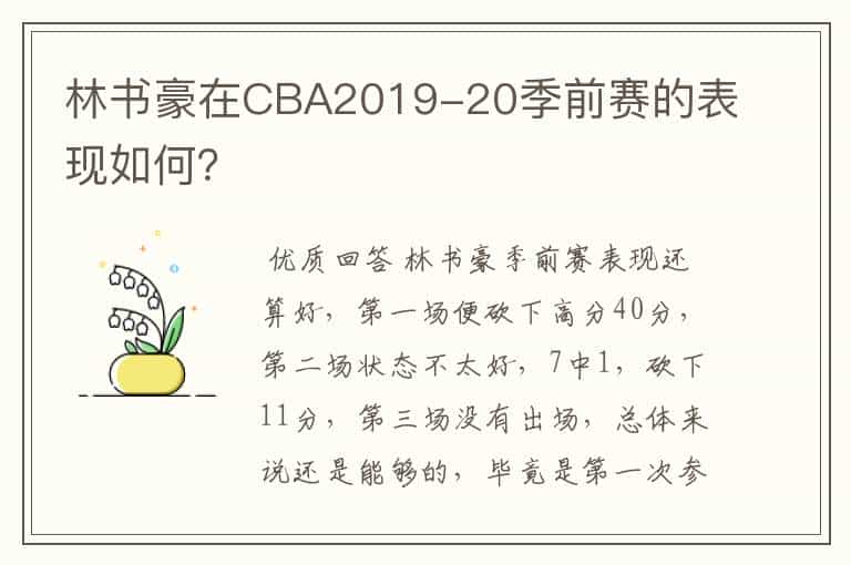 林书豪在CBA2019-20季前赛的表现如何?