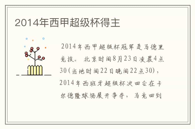 2014年西甲超级杯得主