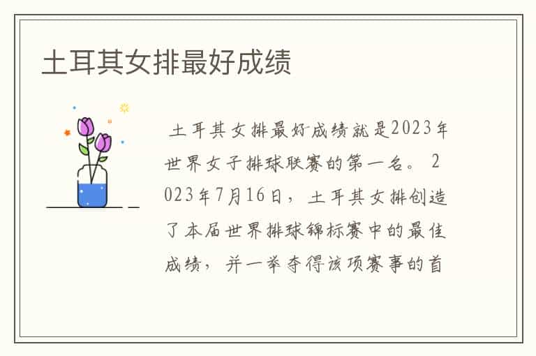 土耳其女排最好成绩