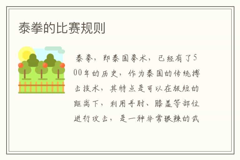 泰拳的比赛规则