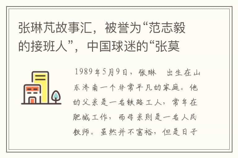 张琳芃故事汇,被誉为“范志毅的接班人”,中国球迷的“张莫斯”