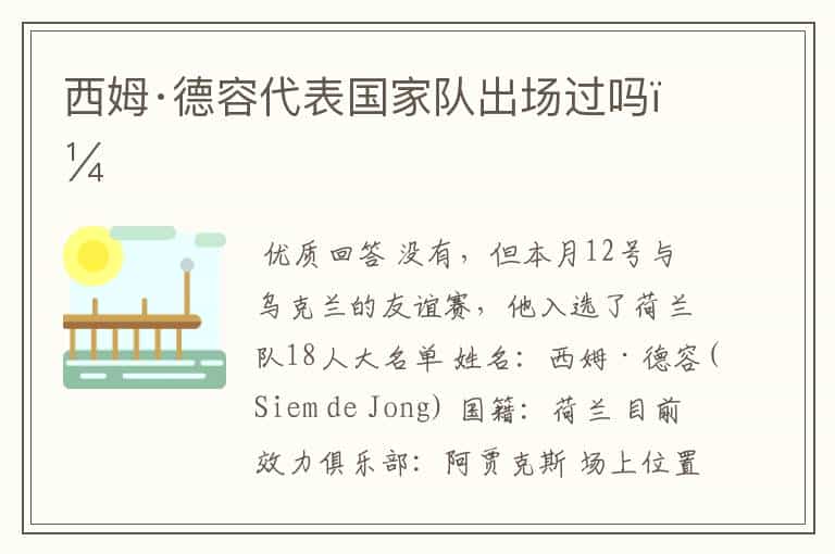 西姆·德容代表国家队出场过吗?