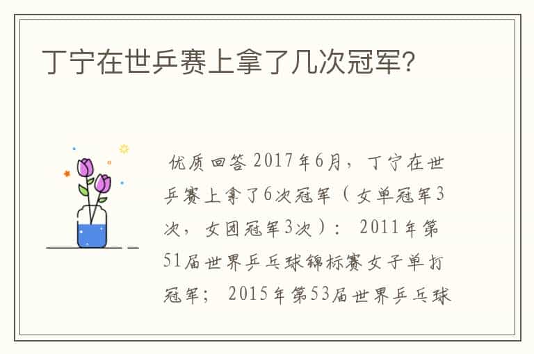 丁宁在世乒赛上拿了几次冠军?