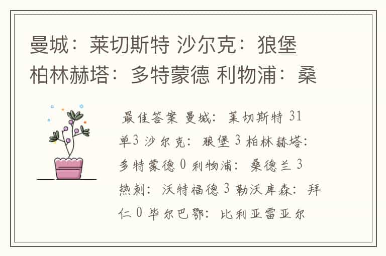 曼城:莱切斯特 沙尔克:狼堡 柏林赫塔:多特蒙德 利物浦:桑德兰 热刺:沃特福德 勒沃库森:拜仁