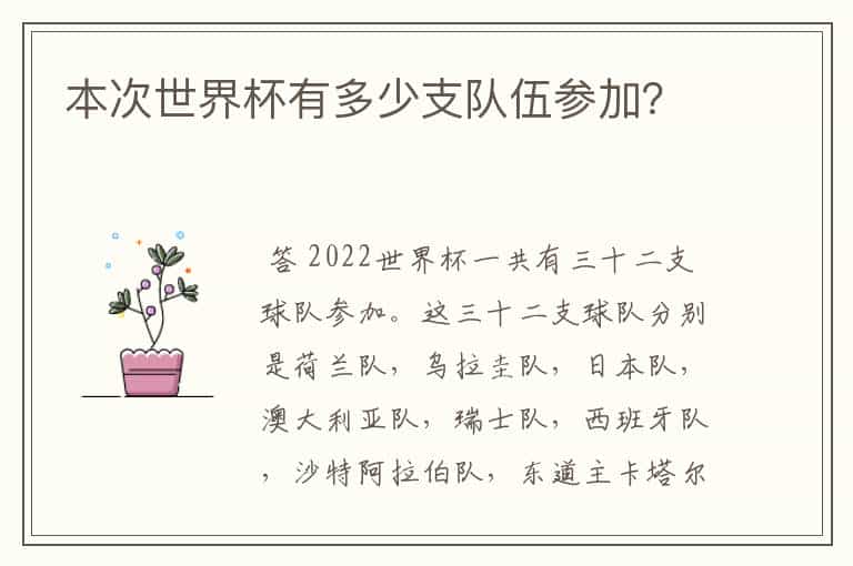 本次世界杯有多少支队伍参加?