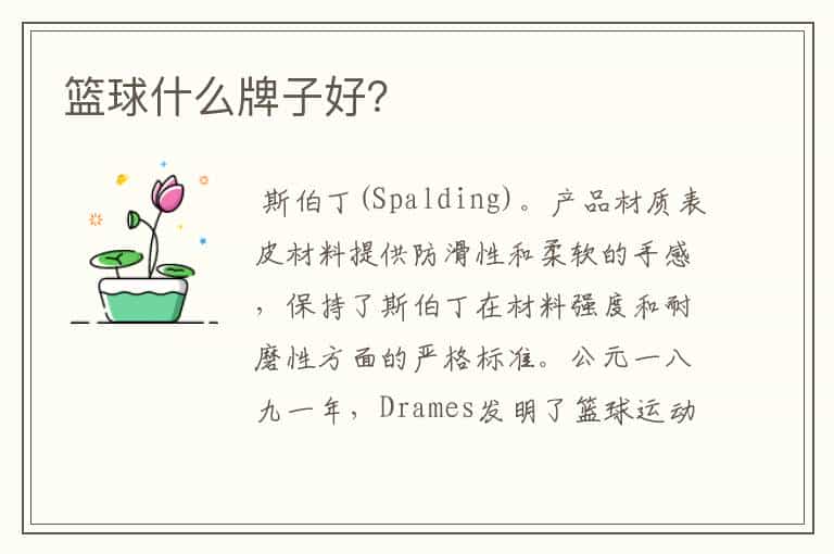 篮球什么牌子好?