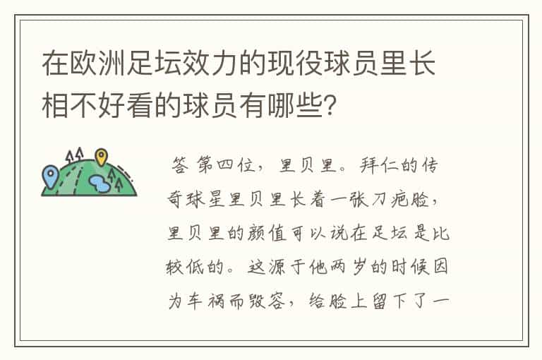 在欧洲足坛效力的现役球员里长相不好看的球员有哪些?