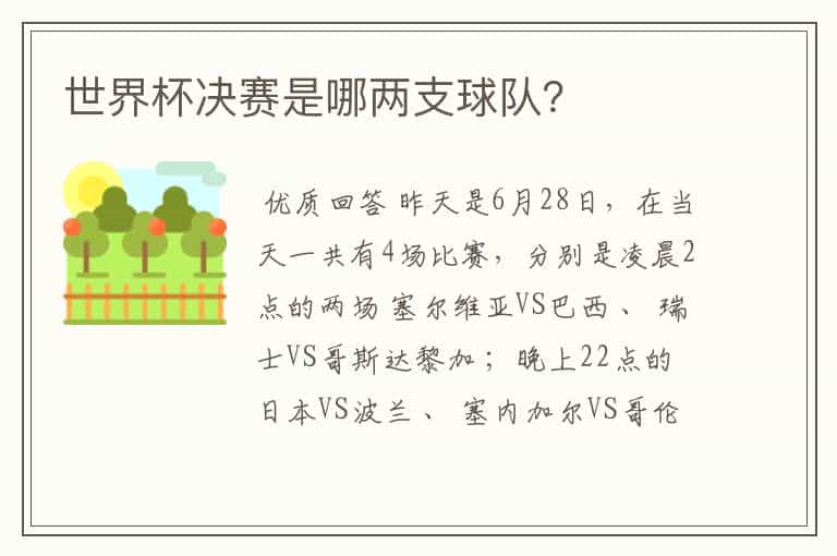 世界杯决赛是哪两支球队?