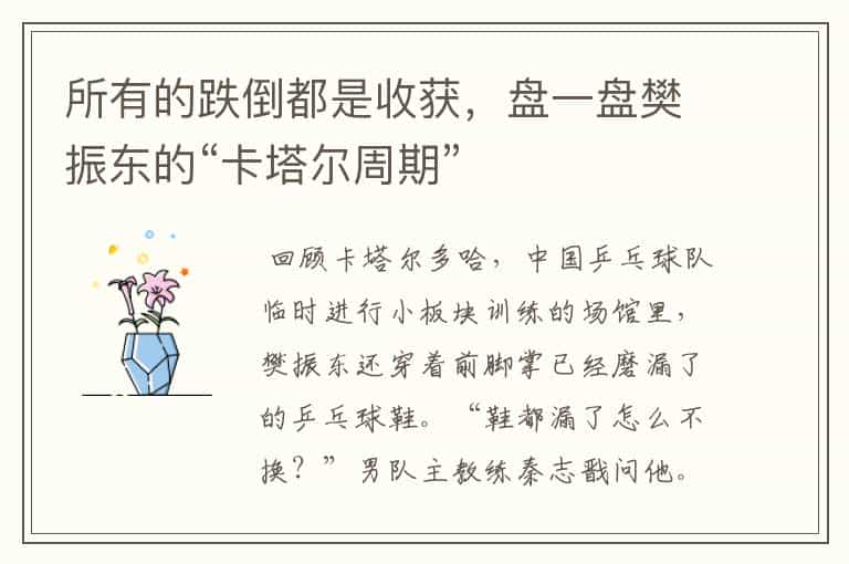 所有的跌倒都是收获,盘一盘樊振东的“卡塔尔周期”