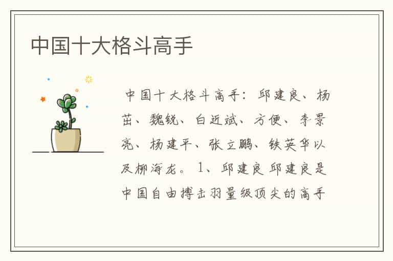 中国十大格斗高手