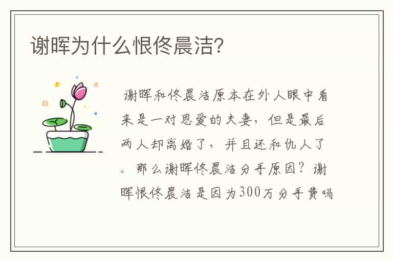 谢晖为什么恨佟晨洁?