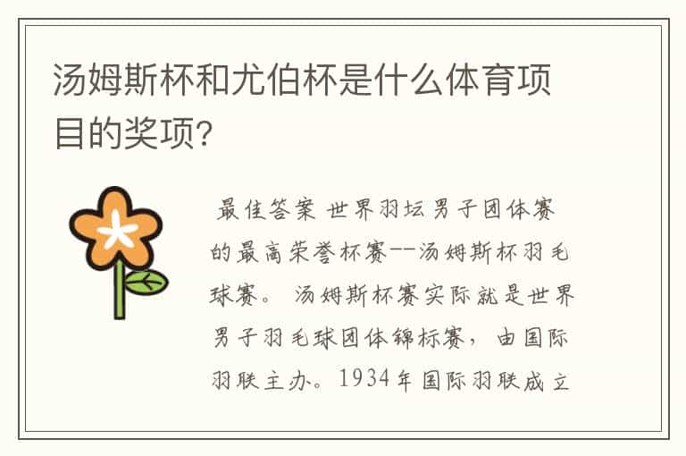 汤姆斯杯和尤伯杯是什么体育项目的奖项?