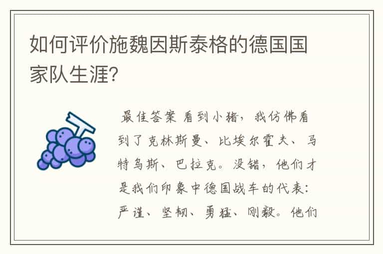 如何评价施魏因斯泰格的德国国家队生涯?