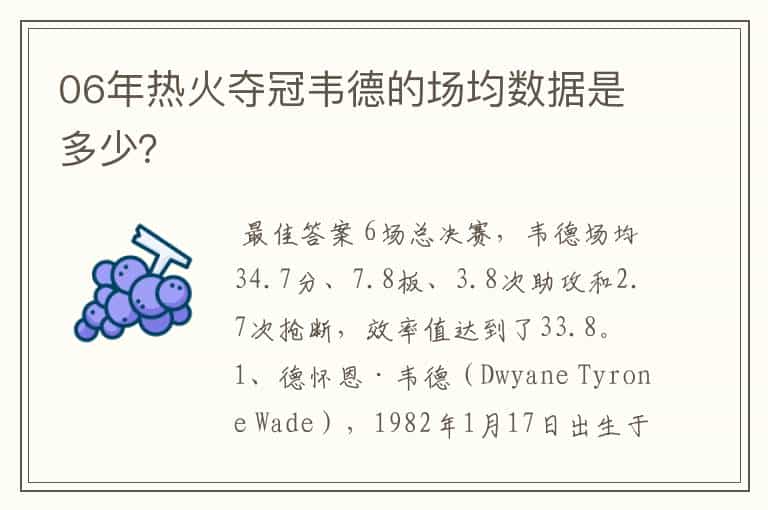 06年热火夺冠韦德的场均数据是多少?