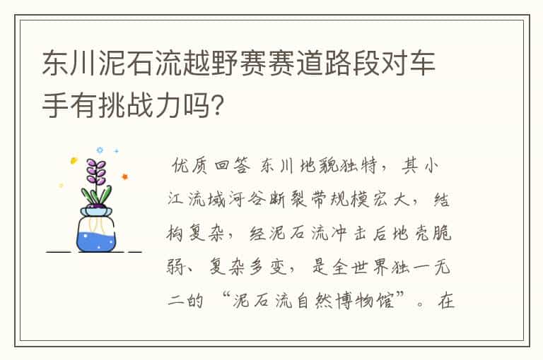 东川泥石流越野赛赛道路段对车手有挑战力吗?