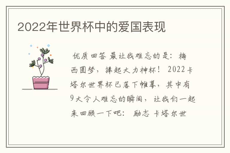 2022年世界杯中的爱国表现