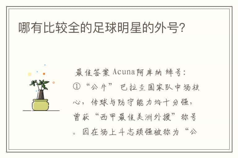 哪有比较全的足球明星的外号?