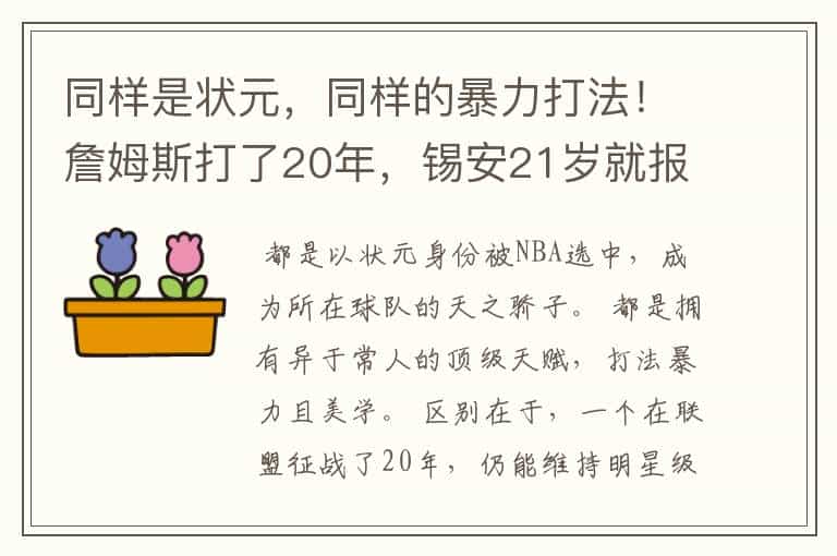 同样是状元,同样的暴力打法!詹姆斯打了20年,锡安21岁就报废?