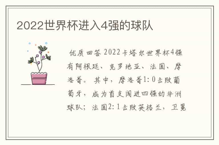 2022世界杯进入4强的球队