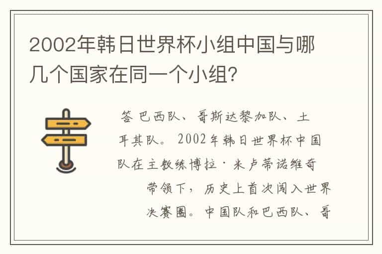 2002年韩日世界杯小组中国与哪几个国家在同一个小组?