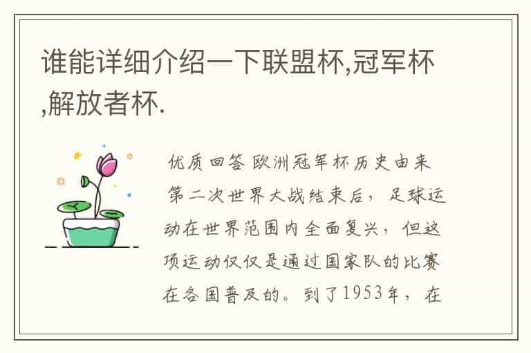 谁能详细介绍一下联盟杯,冠军杯,解放者杯.